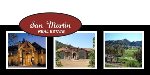 sanmartinrealestate_600 sanmartinrealestate_600