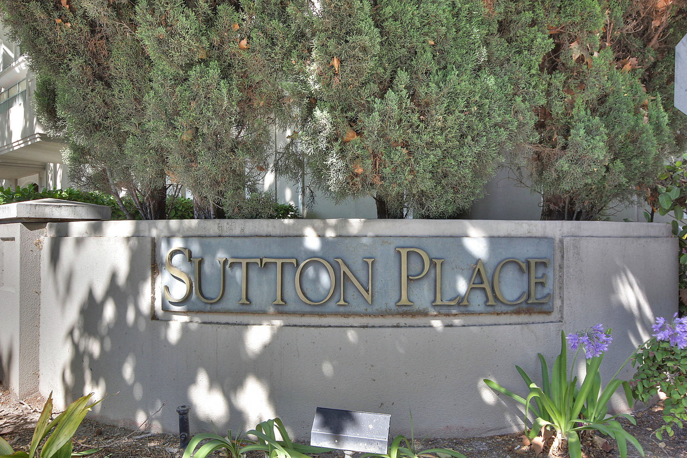 322 Dunsmuir Terrace #3, Sunnyvale